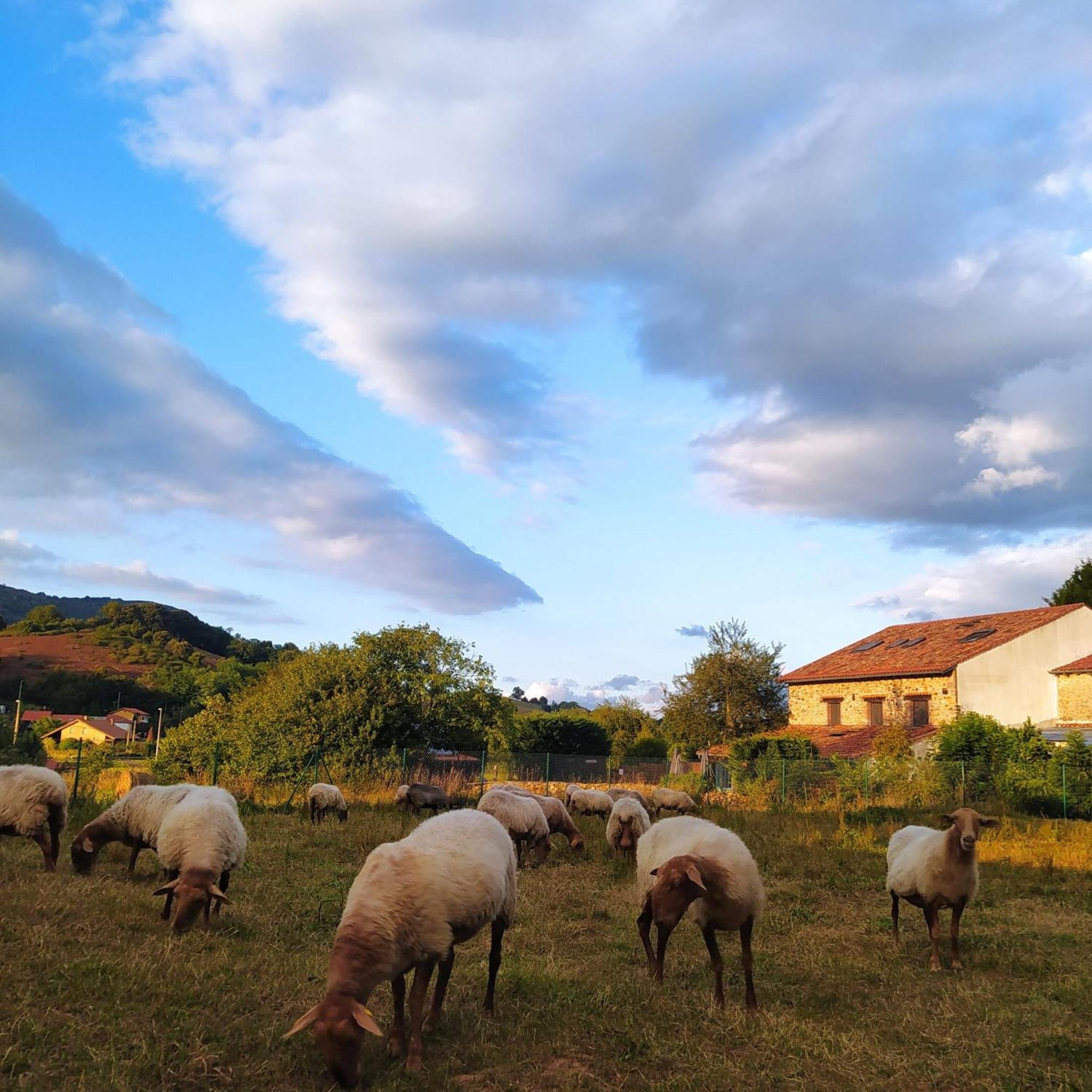 Posada La Corralada Pamanes Bagian luar foto